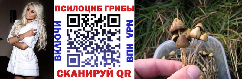 Псилоцибиновые грибы ЛСД  ОМГ ОМГ как войти  Янаул 